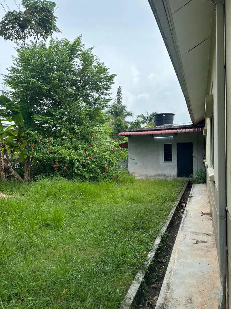 View 5